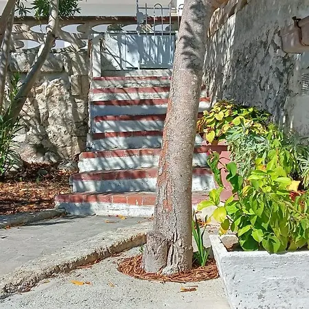 Casa Di Assunta Lejlighed *